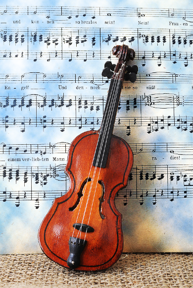 violin